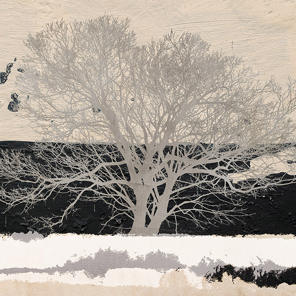 Alessio Aprile, Silver Tree (detail)