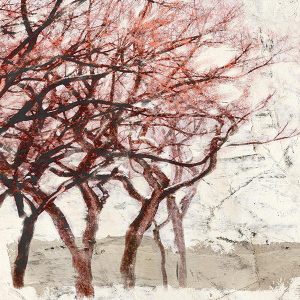 Alessio Aprile, Rusty Trees I