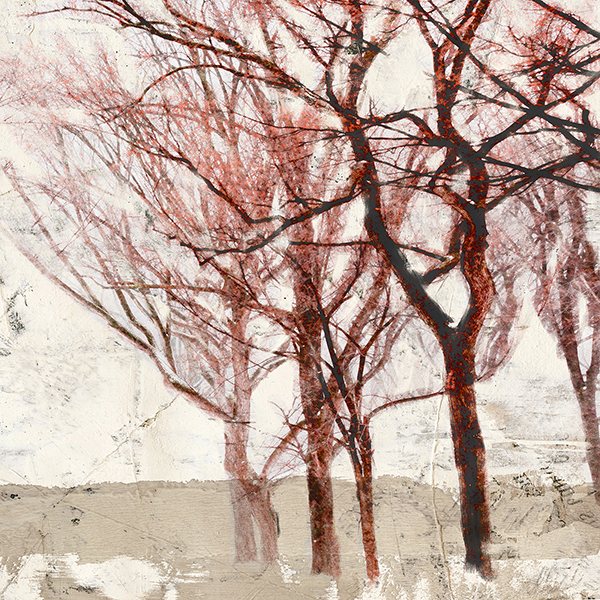 Alessio Aprile, Rusty Trees II