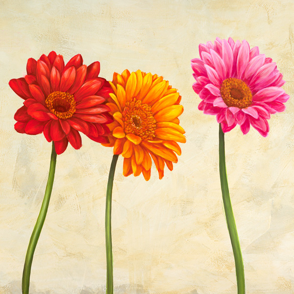 Cynthia Ann, Gerberas (detail)