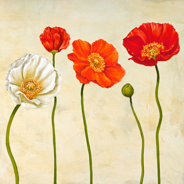 Cynthia Ann, Coquelicots (detail)