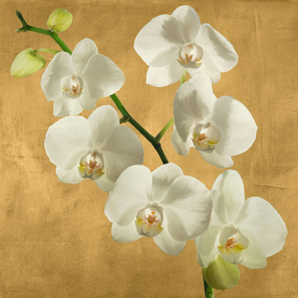 Andrea Antinori, Orchids on a Golden Background I