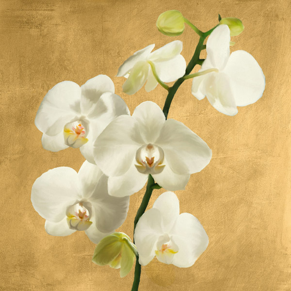 Andrea Antinori, Orchids on a Golden Background II