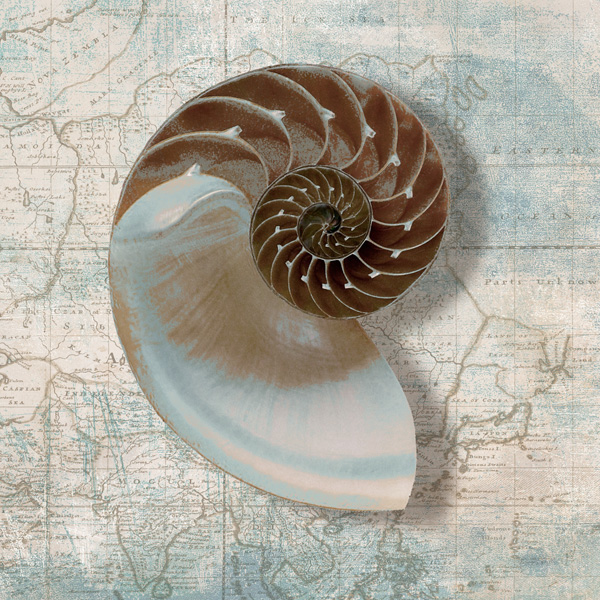 Ted Broome, Nautilus