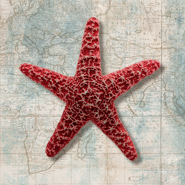 Ted Broome, Starfish