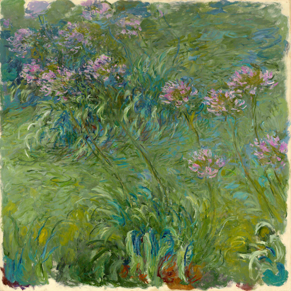 Claude Monet, Agapanthe