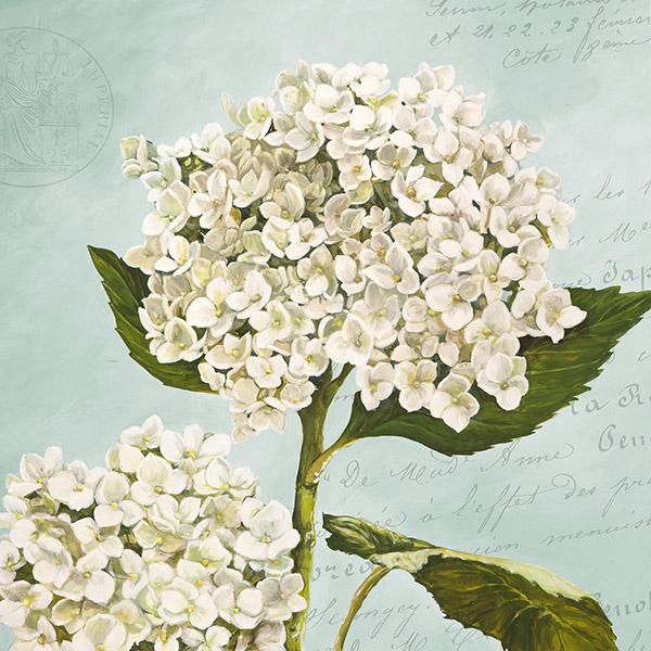 Remy Dellal, Hydrangeas II (Aqua)