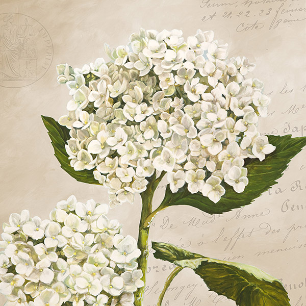 Remy Dellal, Hydrangeas II (Neutre)