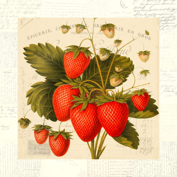 Remy Dellal, Fraises