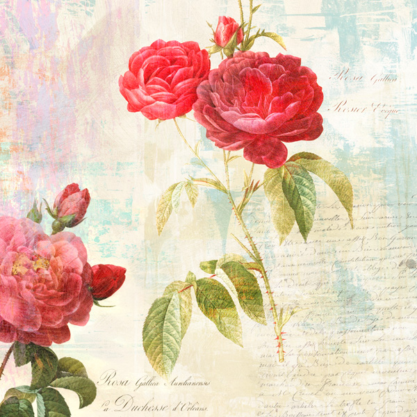 Eric Chestier, Redouté's Roses 2.0 – II