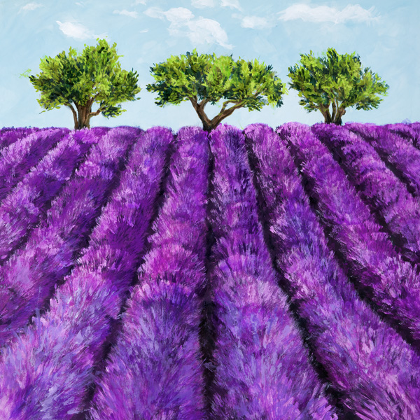 Massimo Germani, Filari di lavanda