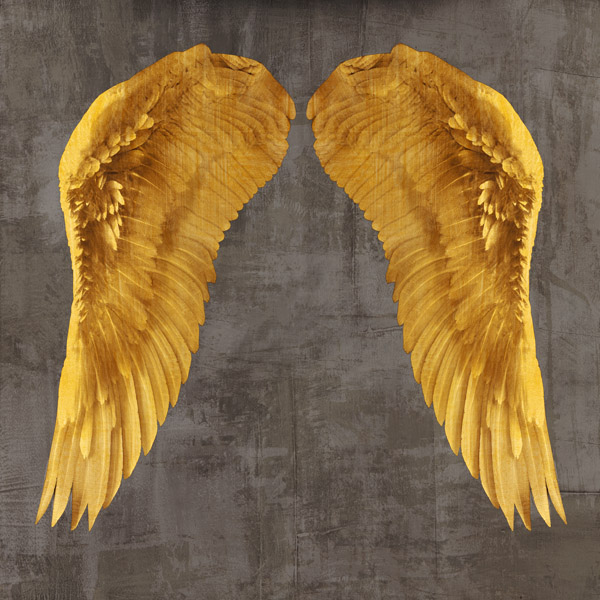 Joannoo, Angel Wings I