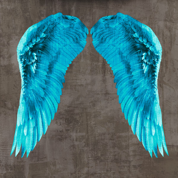 Joannoo, Angel Wings V