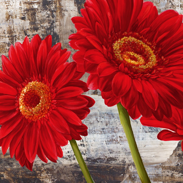 Jenny Thomlinson, Red Gerberas I