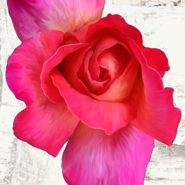 Jenny Thomlinson, Spring Roses I
