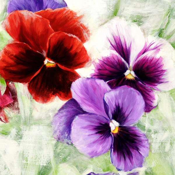 Jenny Thomlinson, Pansies I