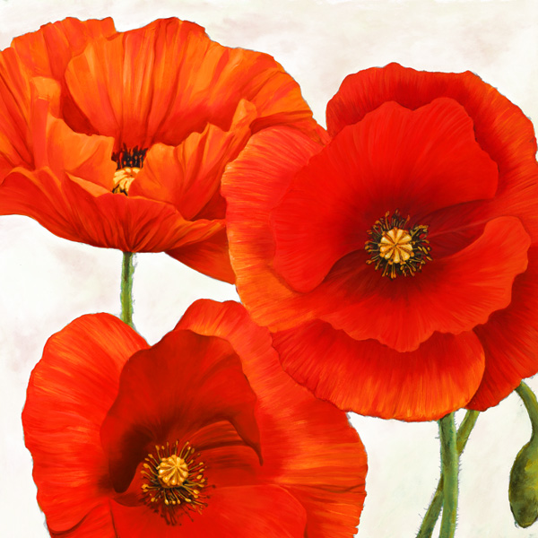 Luca Villa, Poppies I