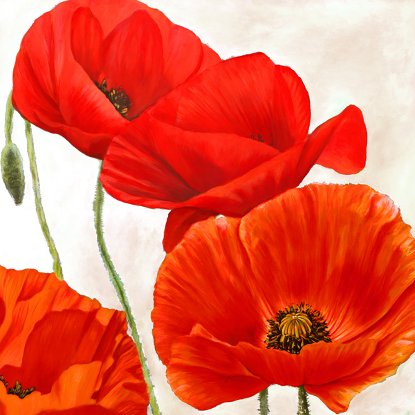 Luca Villa, Poppies II