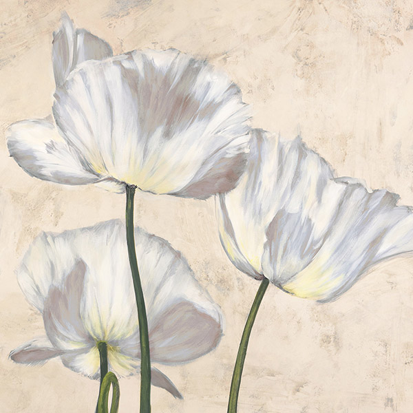 Luca Villa, Poppies in White II