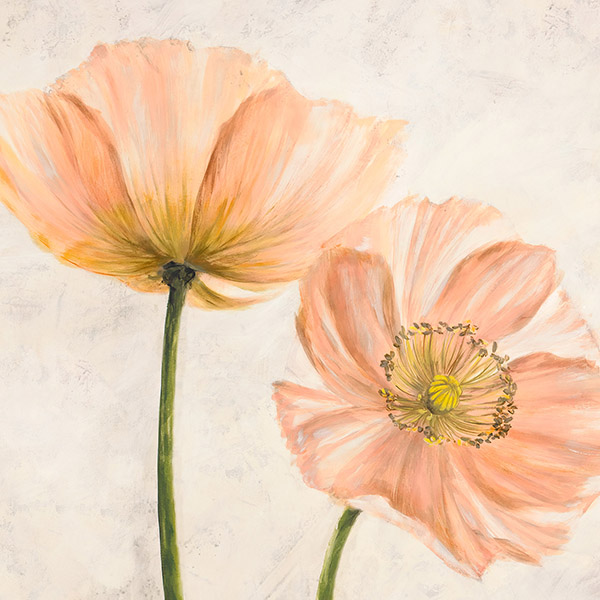 Luca Villa, Poppies in Pink II