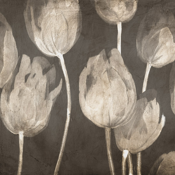 Luca Villa, Washed Tulips I