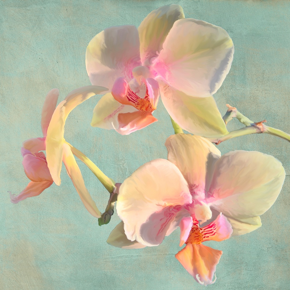 Luca Villa, Jewel Orchids I