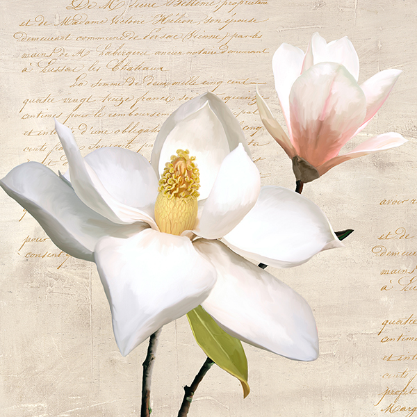 Luca Villa, Ivory Magnolia I