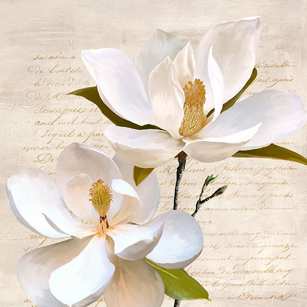 Luca Villa, Ivory Magnolia II