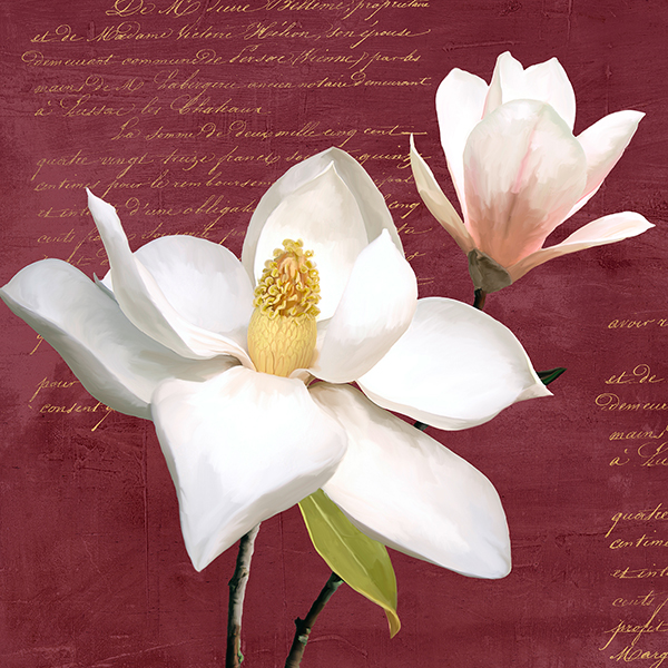 Luca Villa, Burgundy Magnolia I