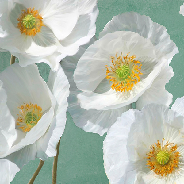 Leonardo Sanna, Poppies on Mint I