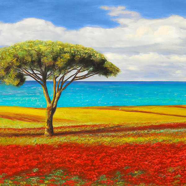 Angelo Masera, Mediterraneo I