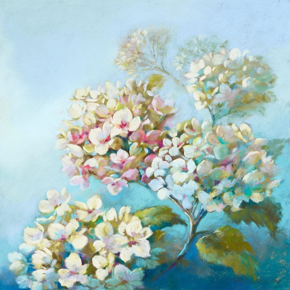 Nel Whatmore, Perfect White Clouds
