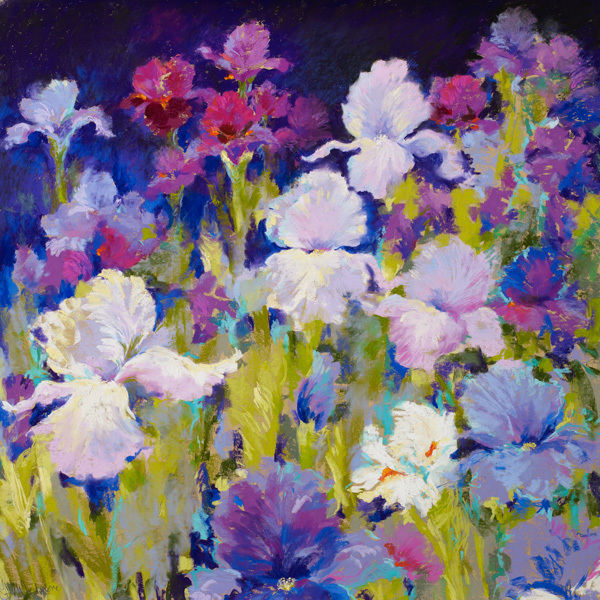 Nel Whatmore, Irresistible Iris