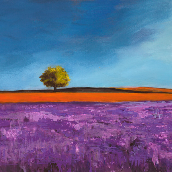 Philip Bloom, Field of Lavender (detail)