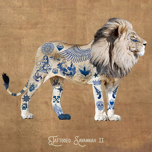 Steven Hill, Tattooed Savannah II