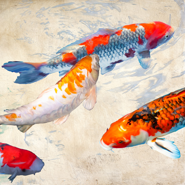 Teo Rizzardi, Koi II