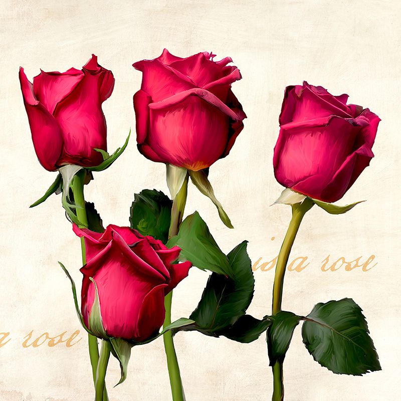 Teo Rizzardi, A Rose is a Rose