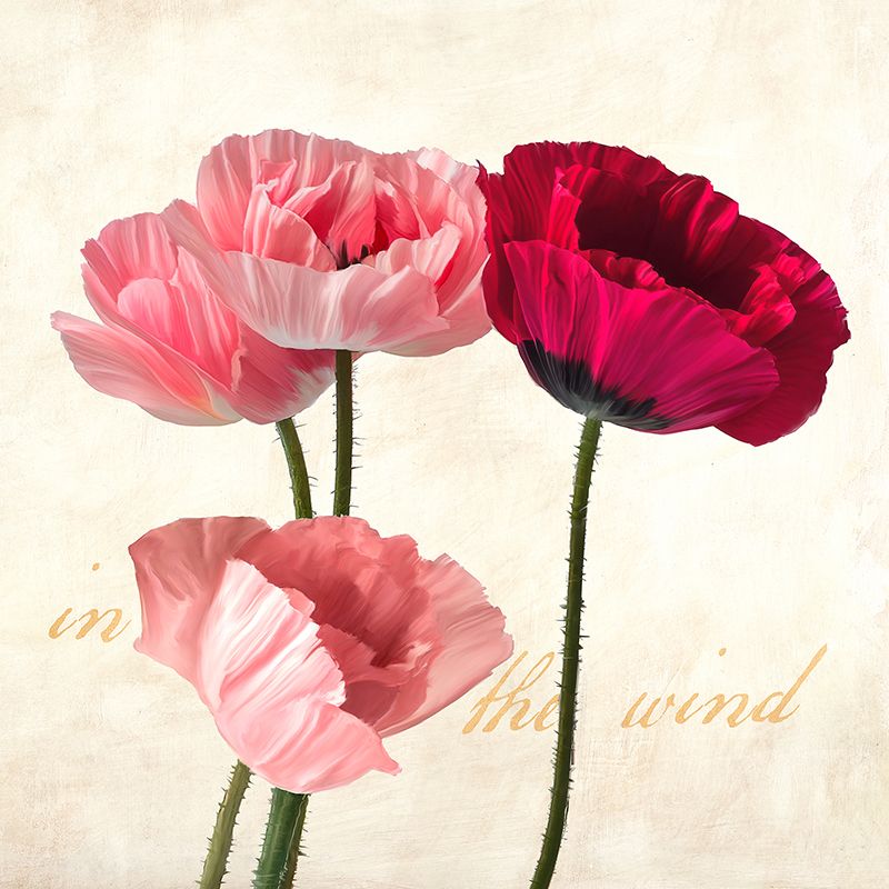 Teo Rizzardi, In the Wind