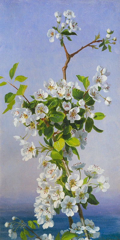 Sophie Anderson, Blossom I