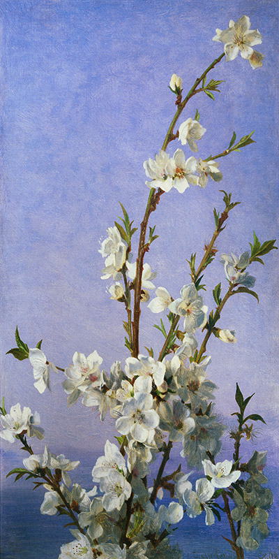 Sophie Anderson, Blossom II