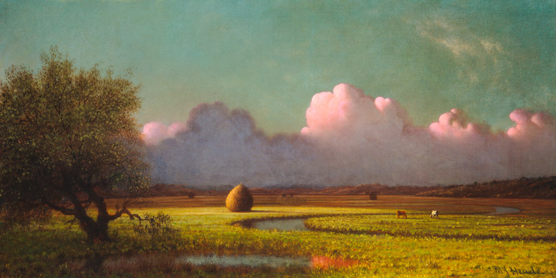 Martin Johnson Heade, Sunlight and Shadow: The Newbury Marshes