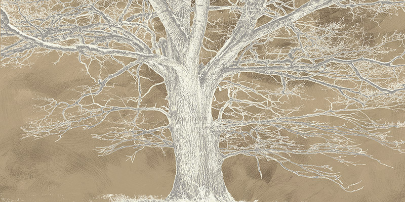 Alessio Aprile, White Oak