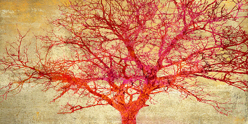 Alessio Aprile, Coral Tree