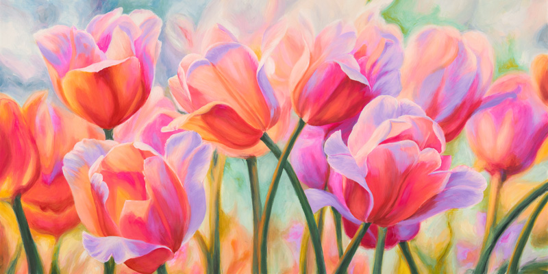 Cynthia Ann, Tulips in Wonderland