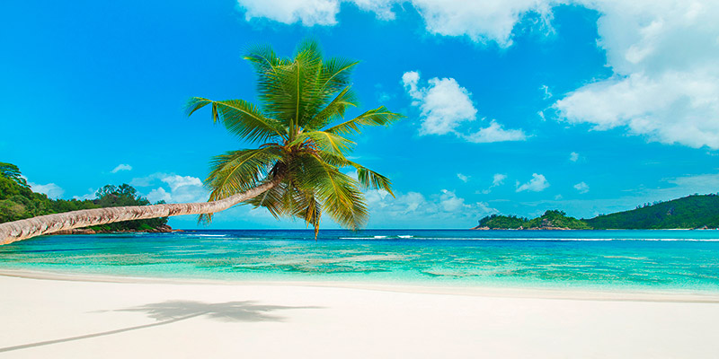 Anonymous, Tropical beach, Seychelles