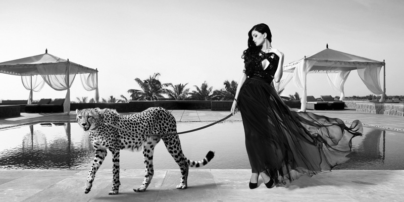 Julian Lauren, Woman with Cheetah