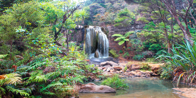 Pangea Images, Rainforest waterfall