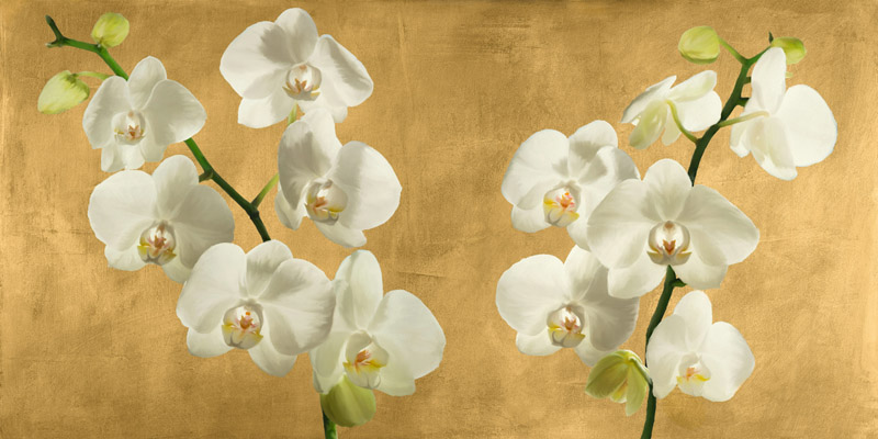 Andrea Antinori, Orchids on a Golden Background