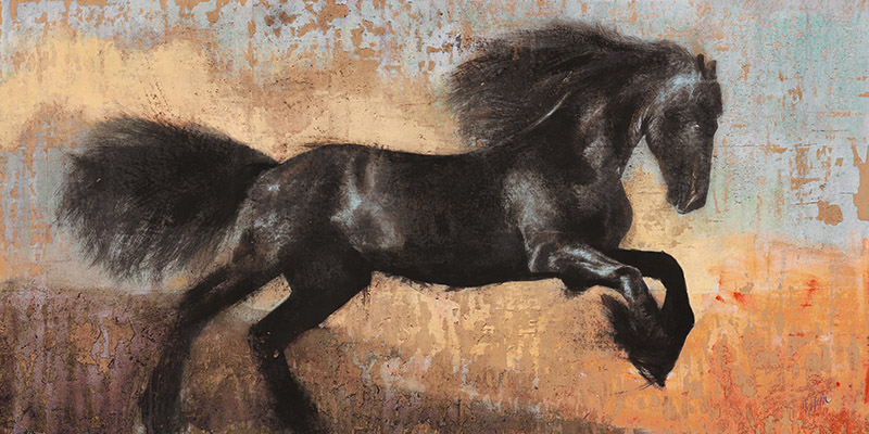 Dario Moschetta, Black Stallion