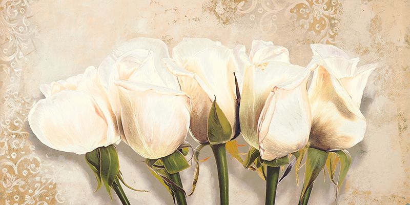 Elena Dolci, White Rose Buds